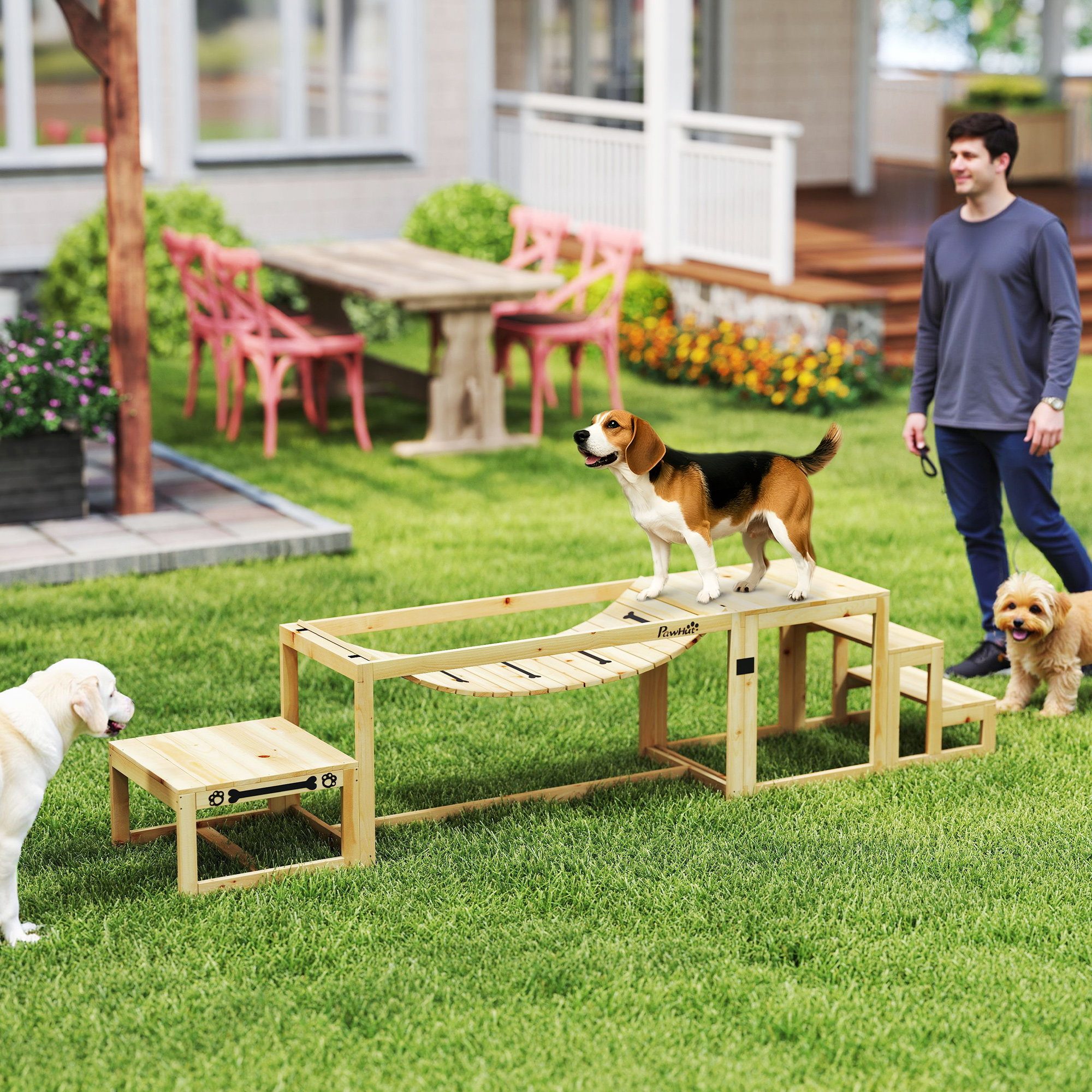 Agility-Set für Hunde, Hundetrainings-Konstruktion mit Brücke, Treppe, Plattform, Tannenholz, für große Hunde bis 40 kg