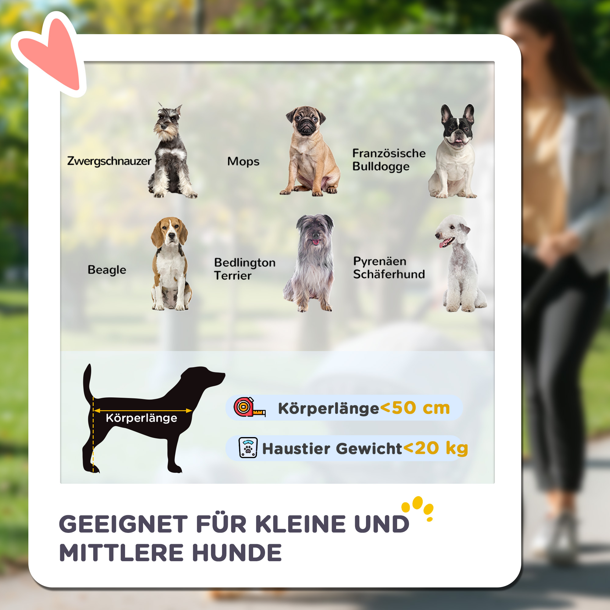 Hundebuggy Hundewagen bis 20 kg Klappbar 3 Seitentasche 102 cm x 62 cm x 105 cm Grau