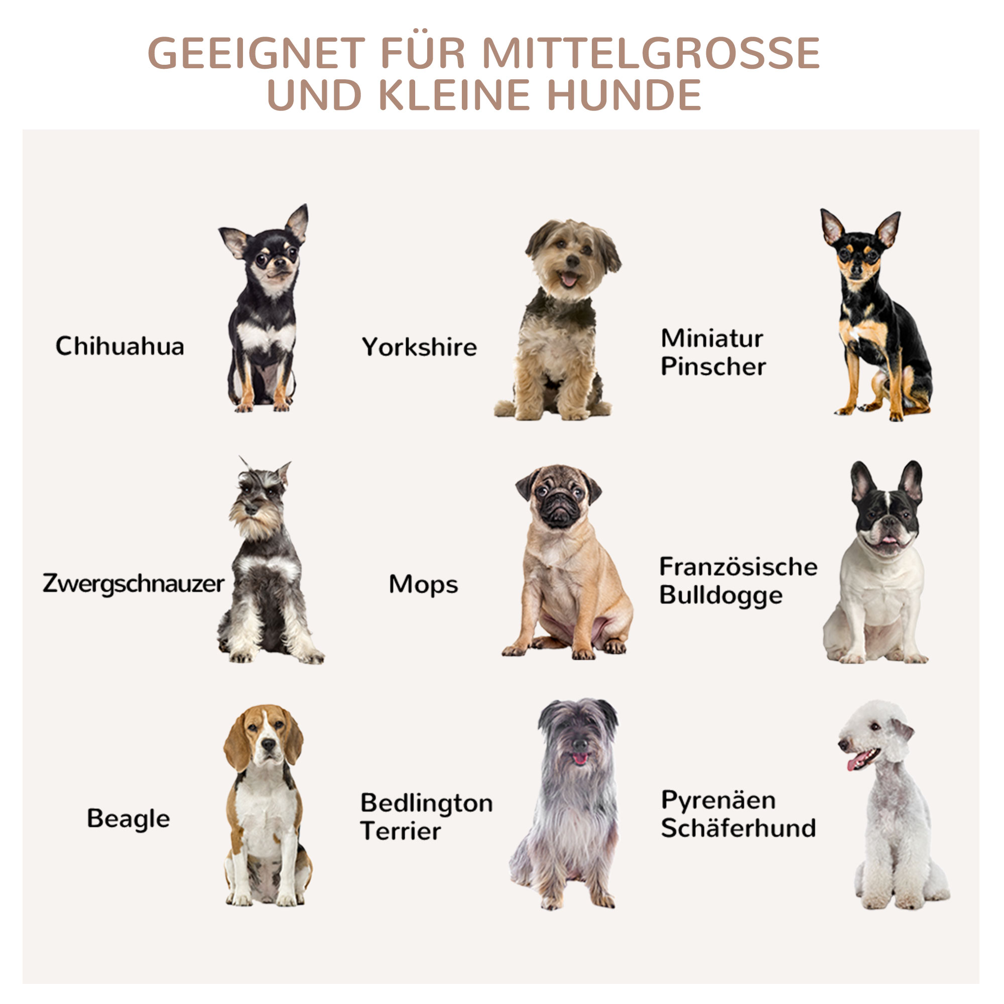 Hundekäfig mit 2 Türen, Hundebox, verriegelbar, Stahlgitter, 80 cm x 50 cm x 56,5 cm, Weiß + Silber