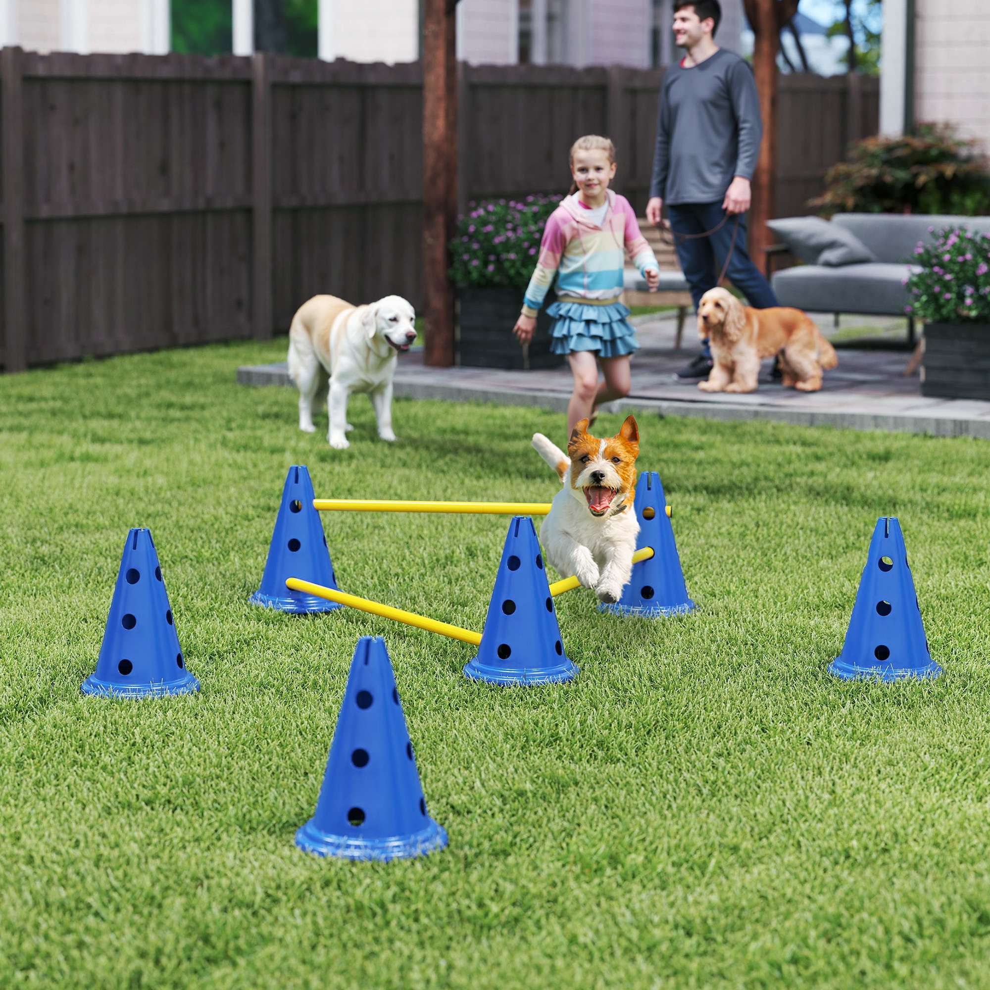 Agility Set Hunde 3-teiliges Agility-Ausrüstung für Hundetraining Steckhürdenset mit 6 Kegel 3 Hürden Tragetasche