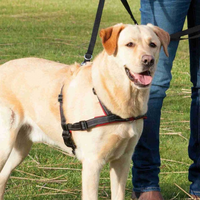 Trixie Trainingsgeschirr Lead'n'Walk Soft - XS-S