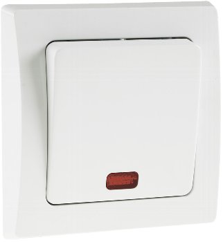 DELPHI Kontroll-Schalter mit Lämpchen, 250V~/ 10A, inkl. Rahmen, UP, weiß DELPHI Kontroll-Schalter mit Lämpchen, 250V~/ 10A, inkl. Rahmen, UP, weiß