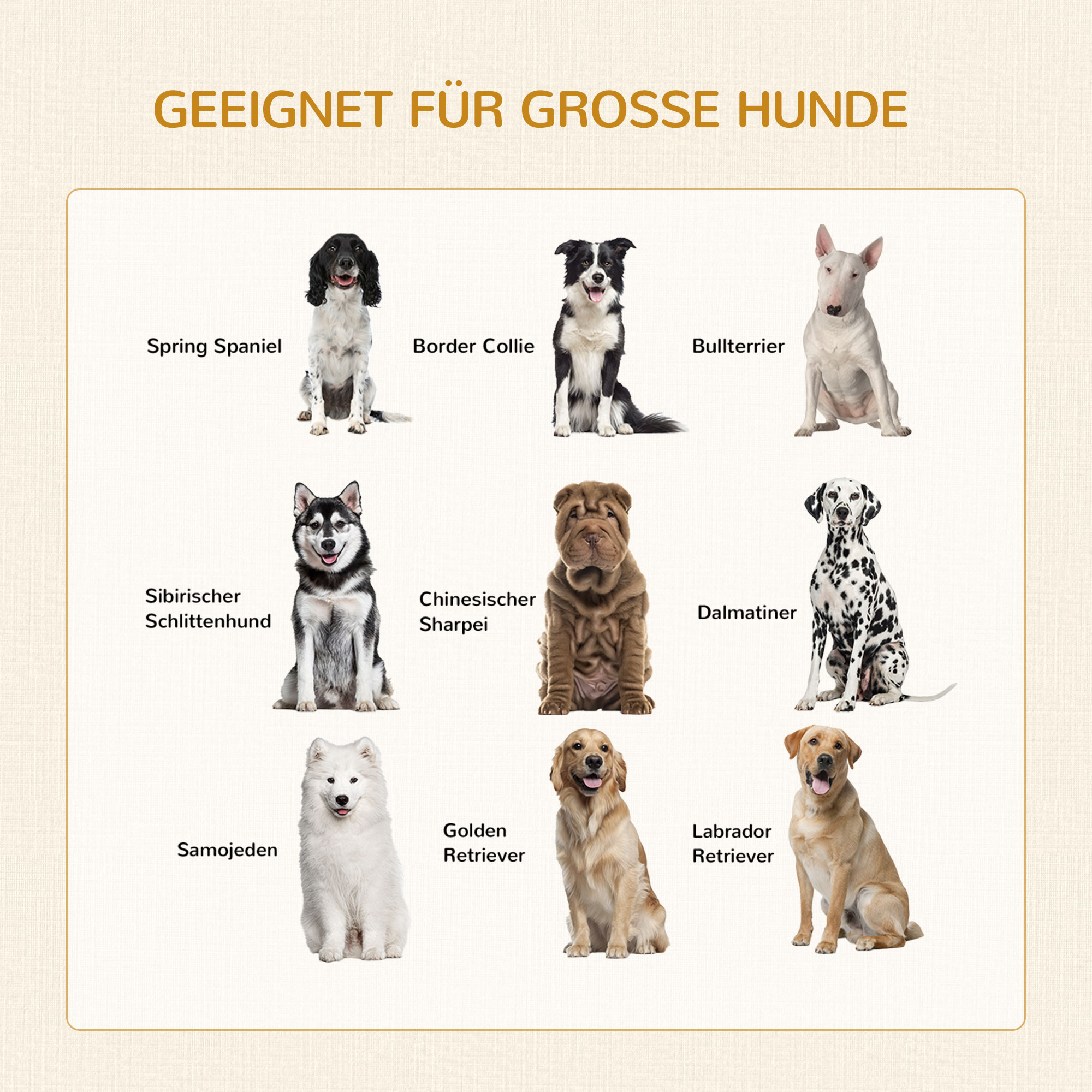 Hundebox, inkl, weicher Matte, 2 Türen, 2 Türen, verriegelbar, Stahl, Weiß, 94 x 60 x 71,5 cm
