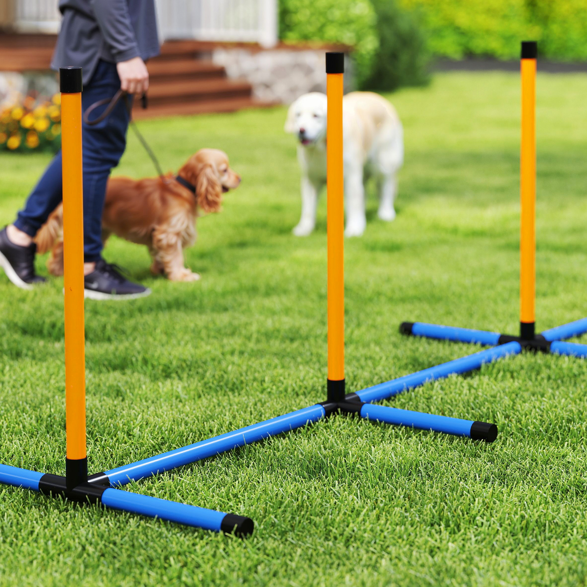 Agility Set Hunde 7-teilig Agility-Ausrüstung für Hundetraining Steckhürdenset für Spiele Training