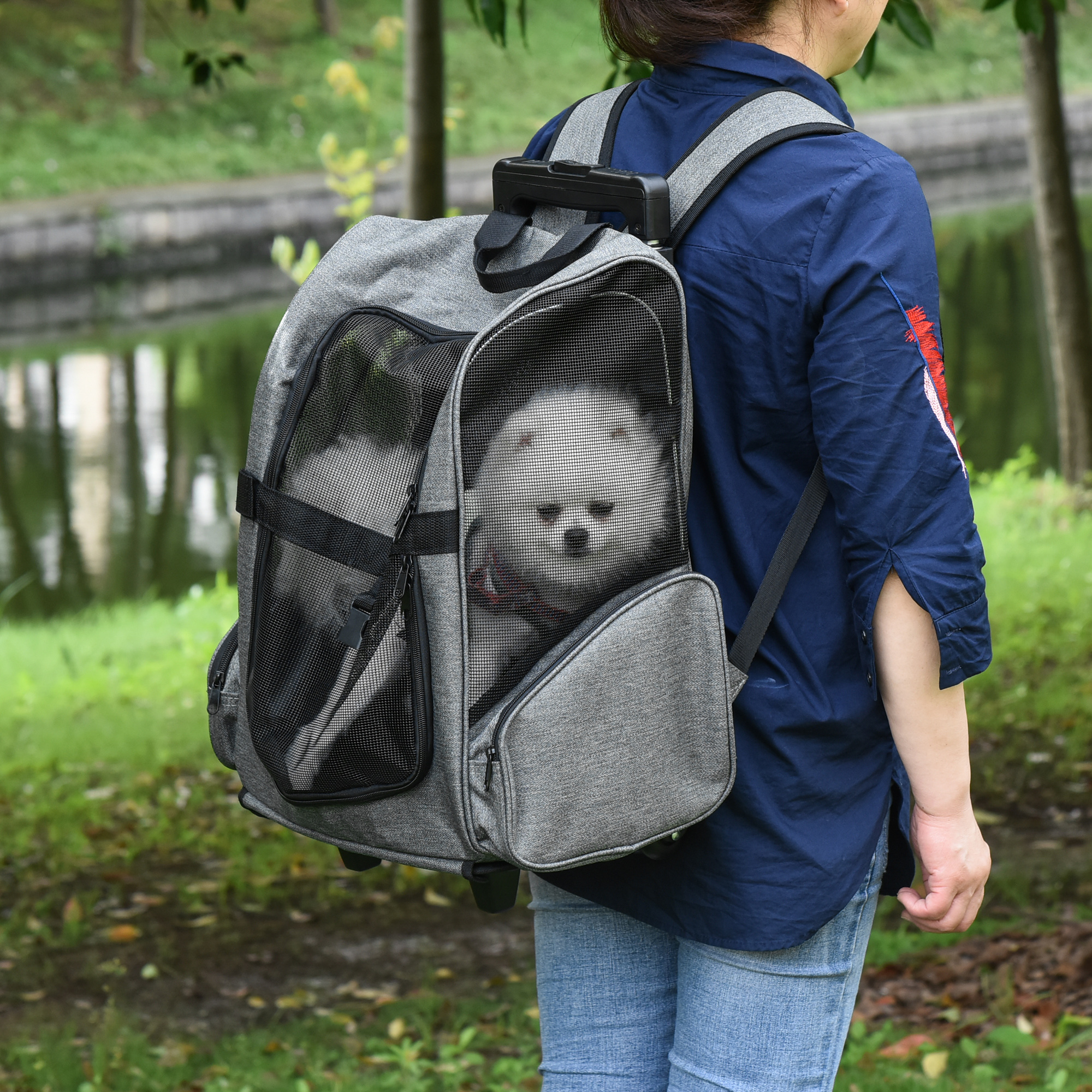 Hundetransporttasche, Haustierrucksack, 2-in-1-Design, ausziehbarer Griff, Seitentaschen, Grau, 42 x 25 x 55cm