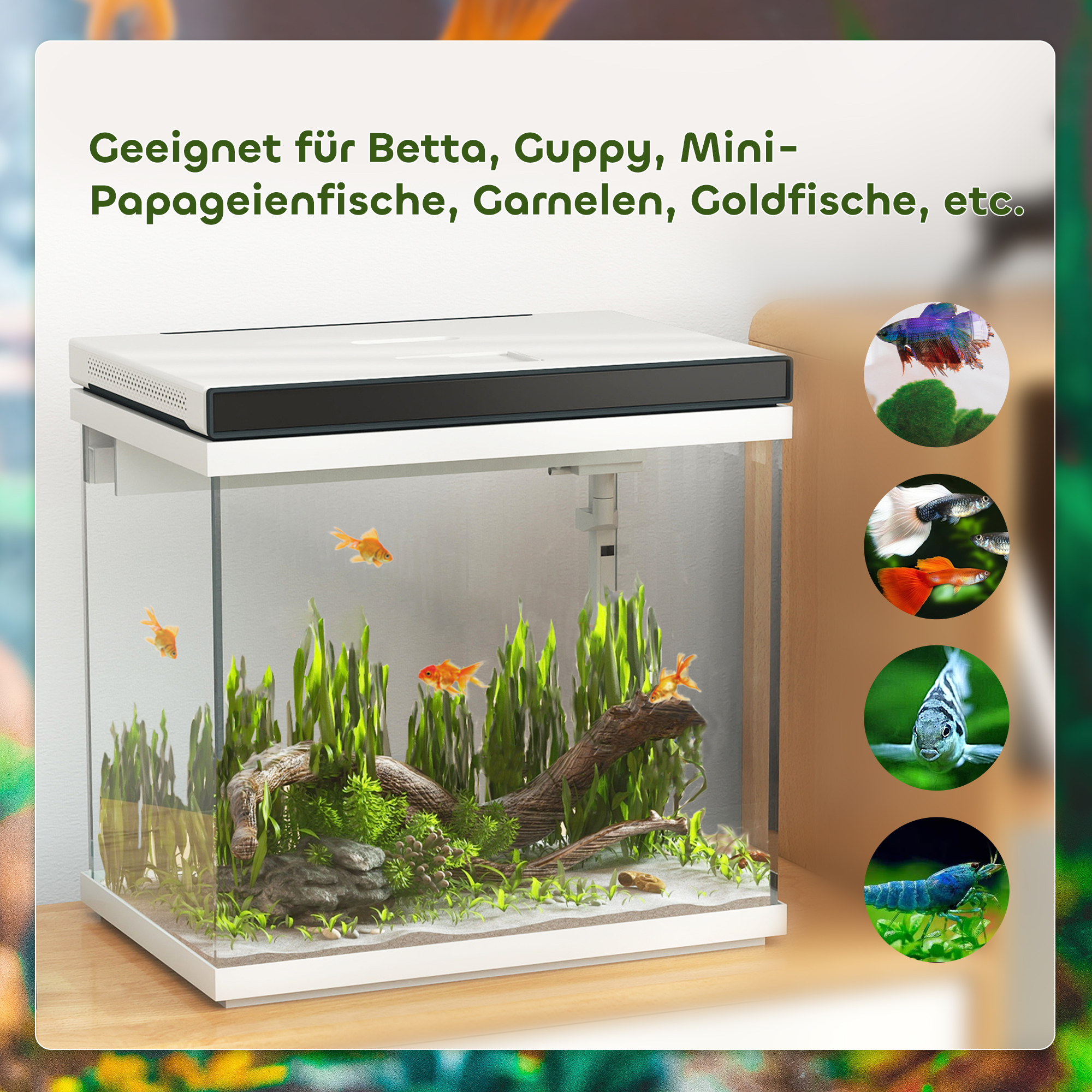 26 Liter Aquarium mit Filter, LED-Beleuchtung, Wasserpumpe, für verschiedene Fischarten, ca, 38 x 26 x 38 cm