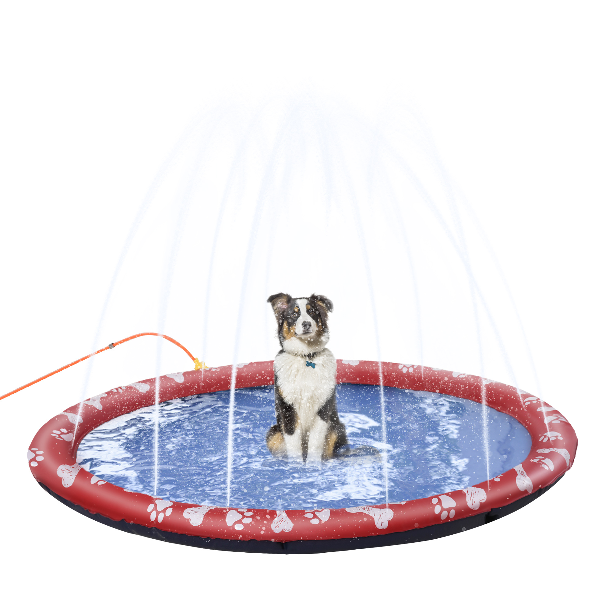 Hundepool, Wasser-Spielpool, rutschfest, robust, tierfreundlich, Ø170 cm, Rot Hundepool, Wasser-Spielpool, rutschfest, robust, tierfreundlich, Ø170 cm, Rot