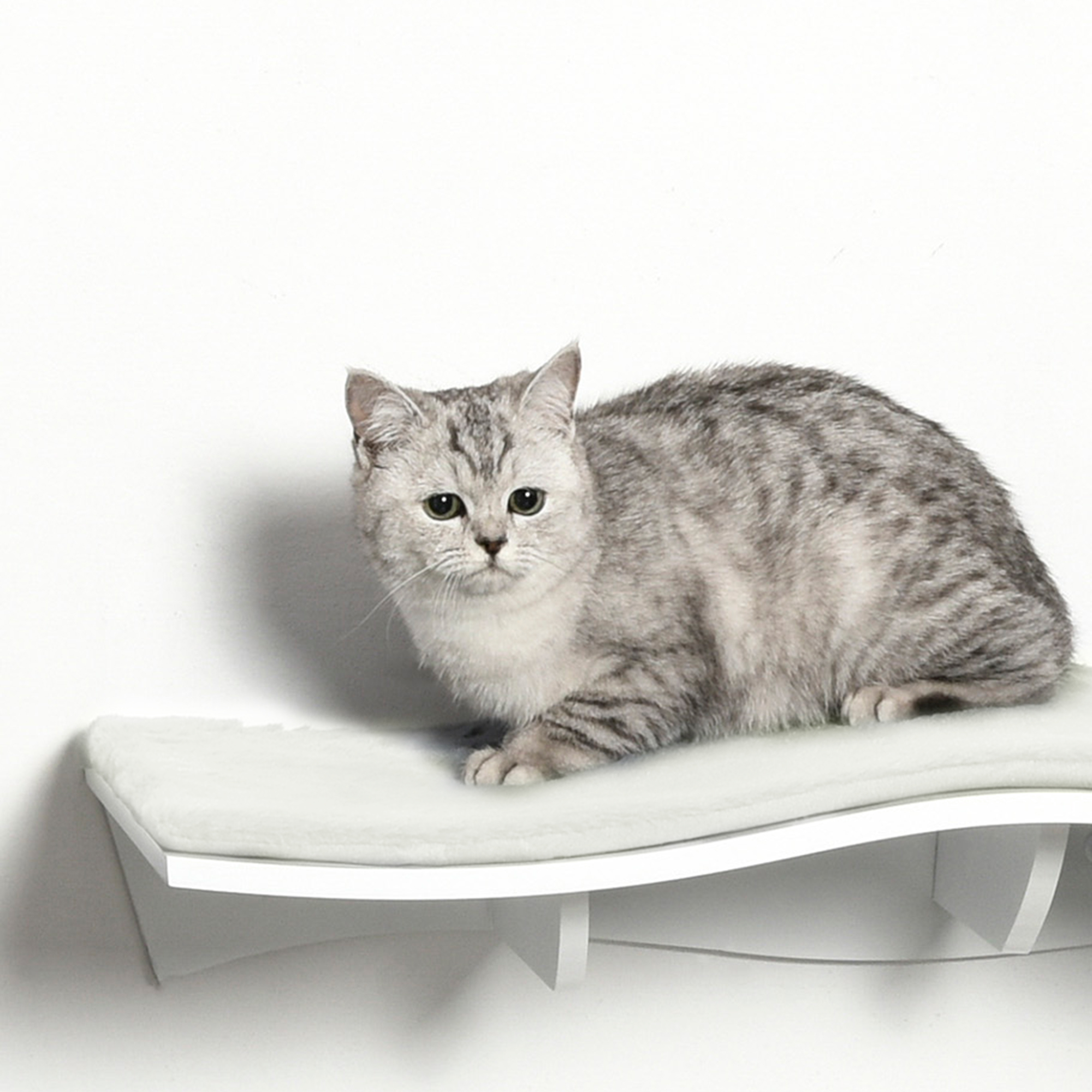 Katzen Kletterwand Katzenhängematte Katzenbett Wand Katzenregal Wandmontage Katzenmöbel Plüsch MDF Weiß 53 x 28 x 12 cm