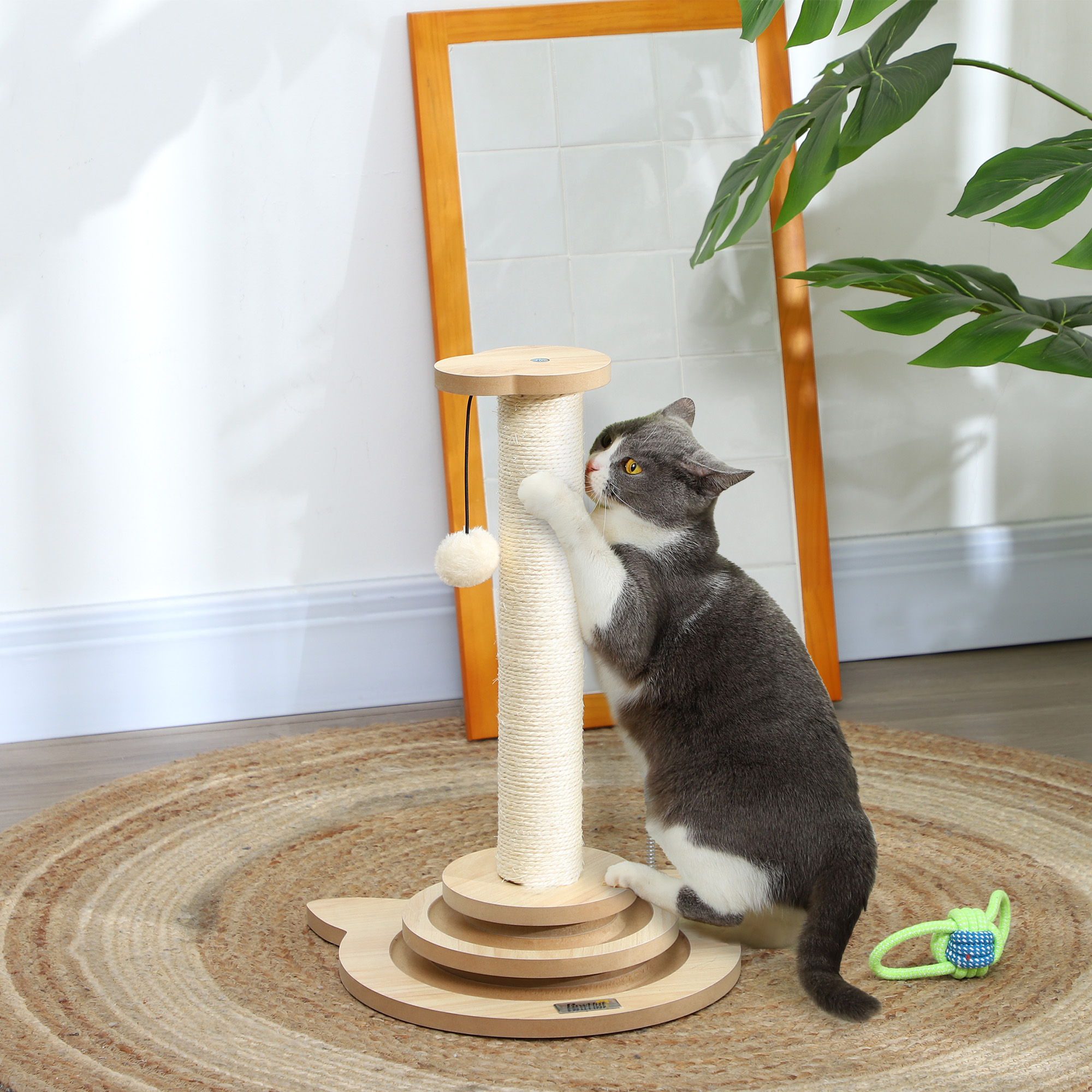 Katzen-Kratzbaum, 49 cm, Sisal-Kratzpfosten, Kugelbahn, Spielball, Spielfeder, 4-in-1-Design, Eiche, Weiß