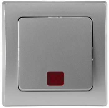 DELPHI Kontroll-Schalter mit Lämpchen, 250V~/ 10A, UP, silber DELPHI Kontroll-Schalter mit Lämpchen, 250V~/ 10A, UP, silber