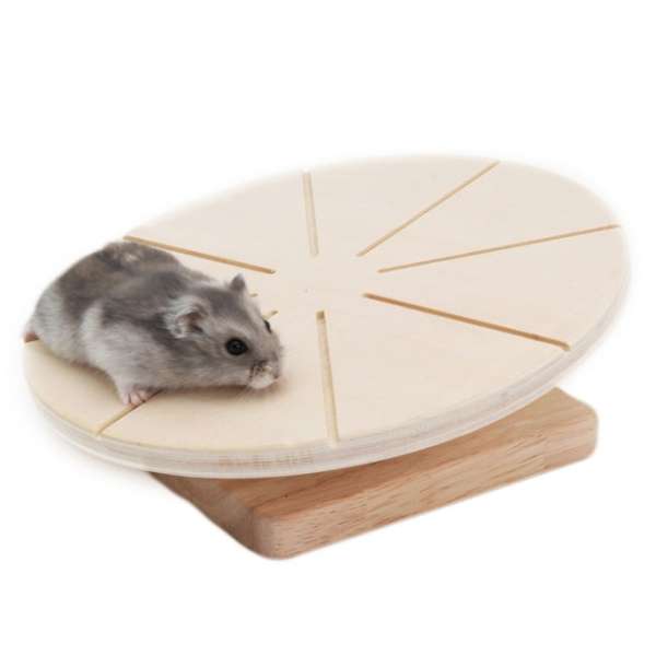 LIVING WORLD Green Laufteller - 20 cm LIVING WORLD Green Laufteller - 20 cm