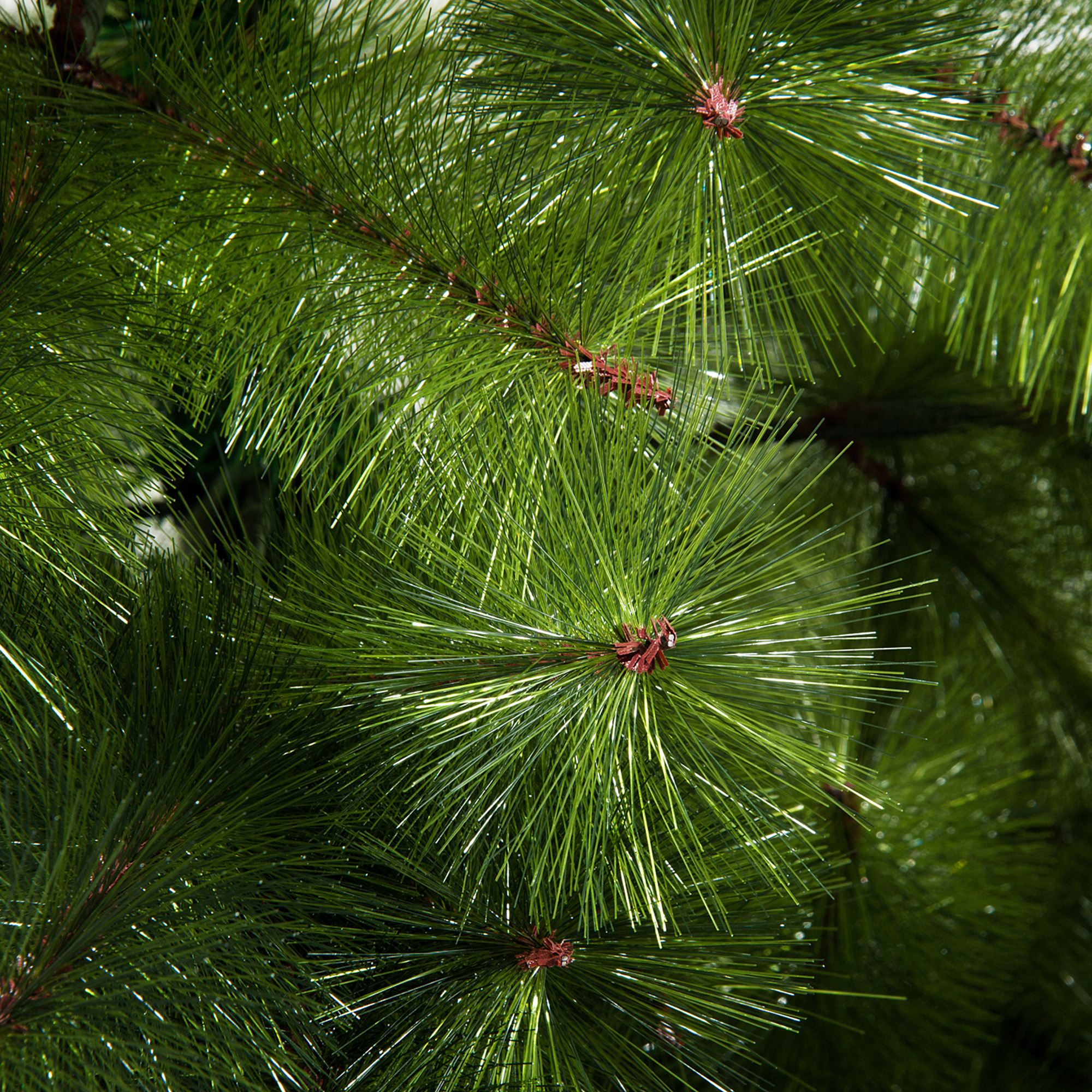 Weihnachtsbaum 210 cm künstlich Tannenbaum mit 505 Spitzen Christbaum Weihnachtsdeko inkl, Metallständer für drinnen