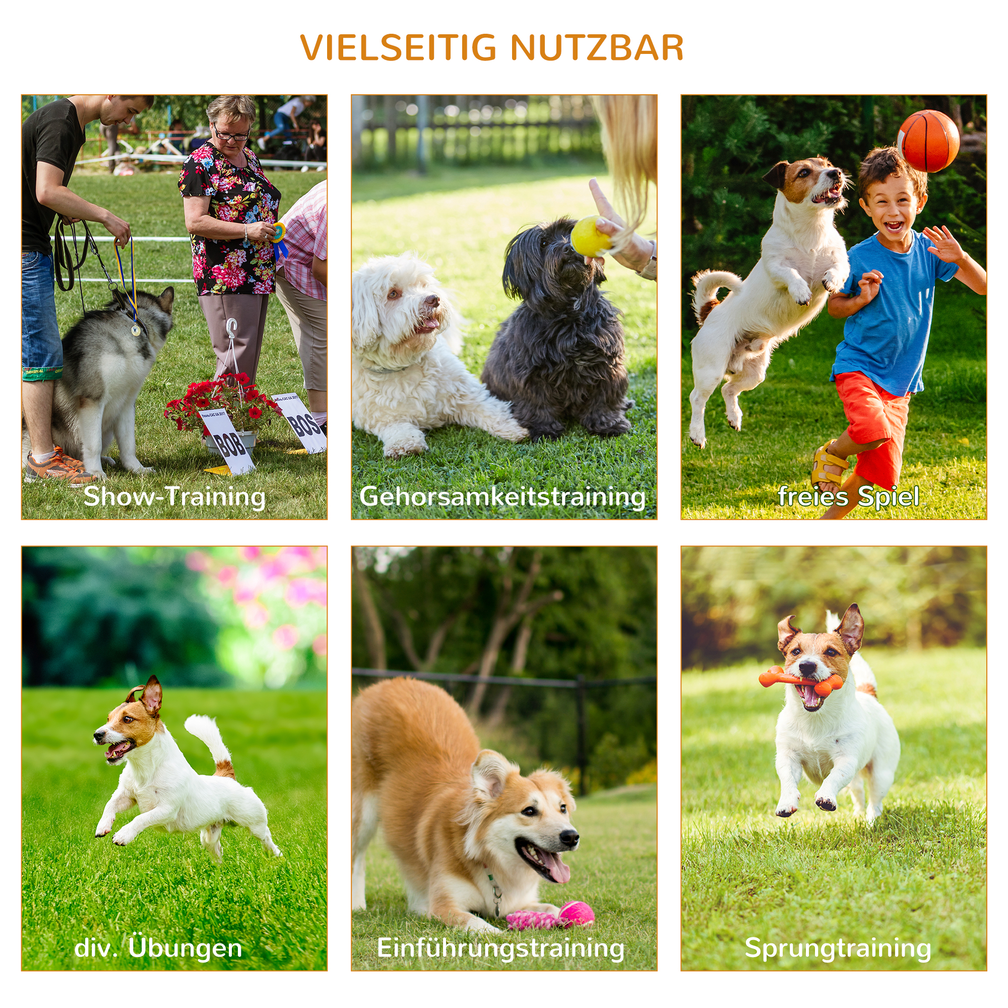 3-tlg, Hunde Agility Set Training für Haustiere Hundetrainigsset Inklusive Tasche Leicht zu tragen Kunststoff Weiß+Gelb