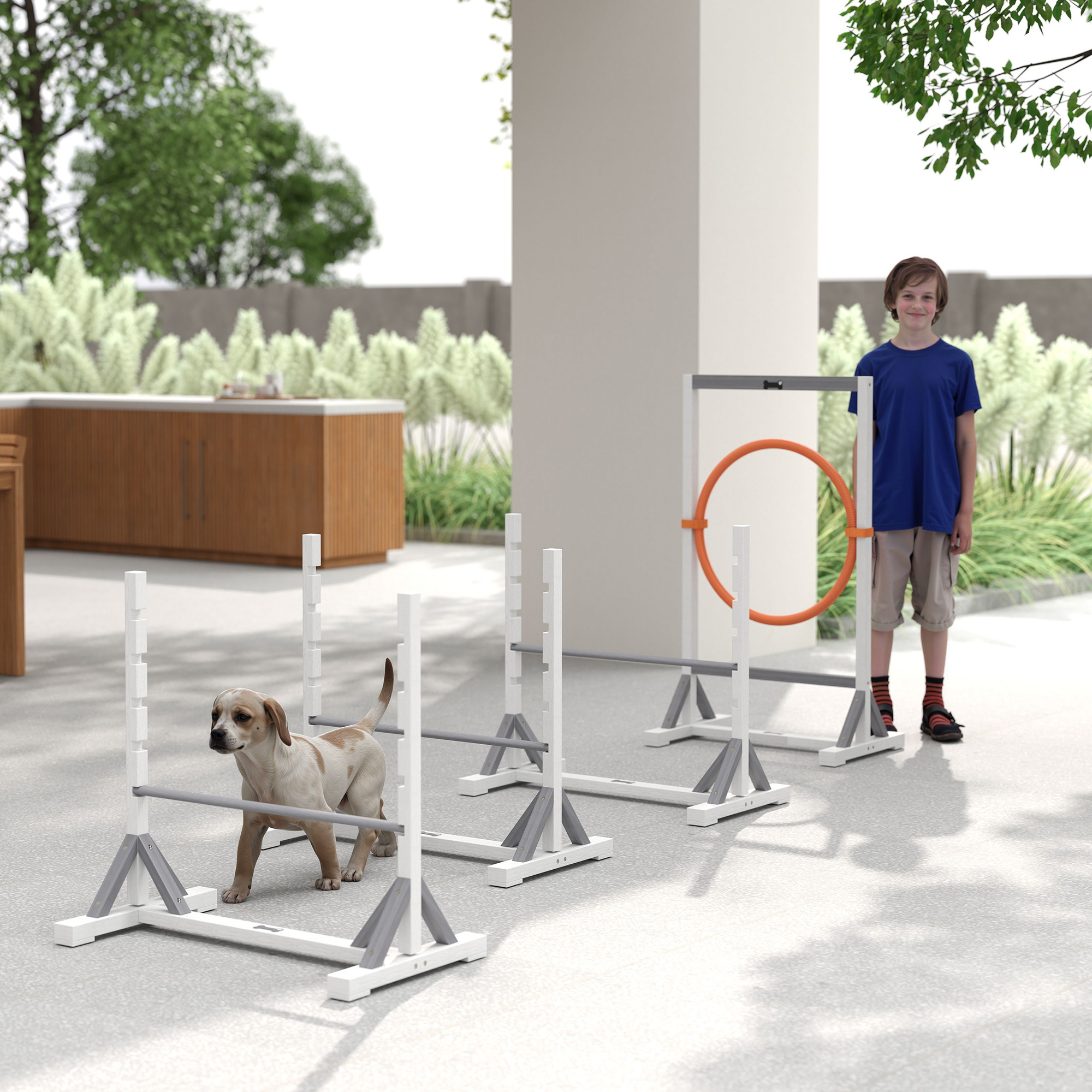 Agility Set Hunde 4-teiliges Agility-Ausrüstung für Hundetraining mit höhenverstellbar Hürden Reifen Weiß