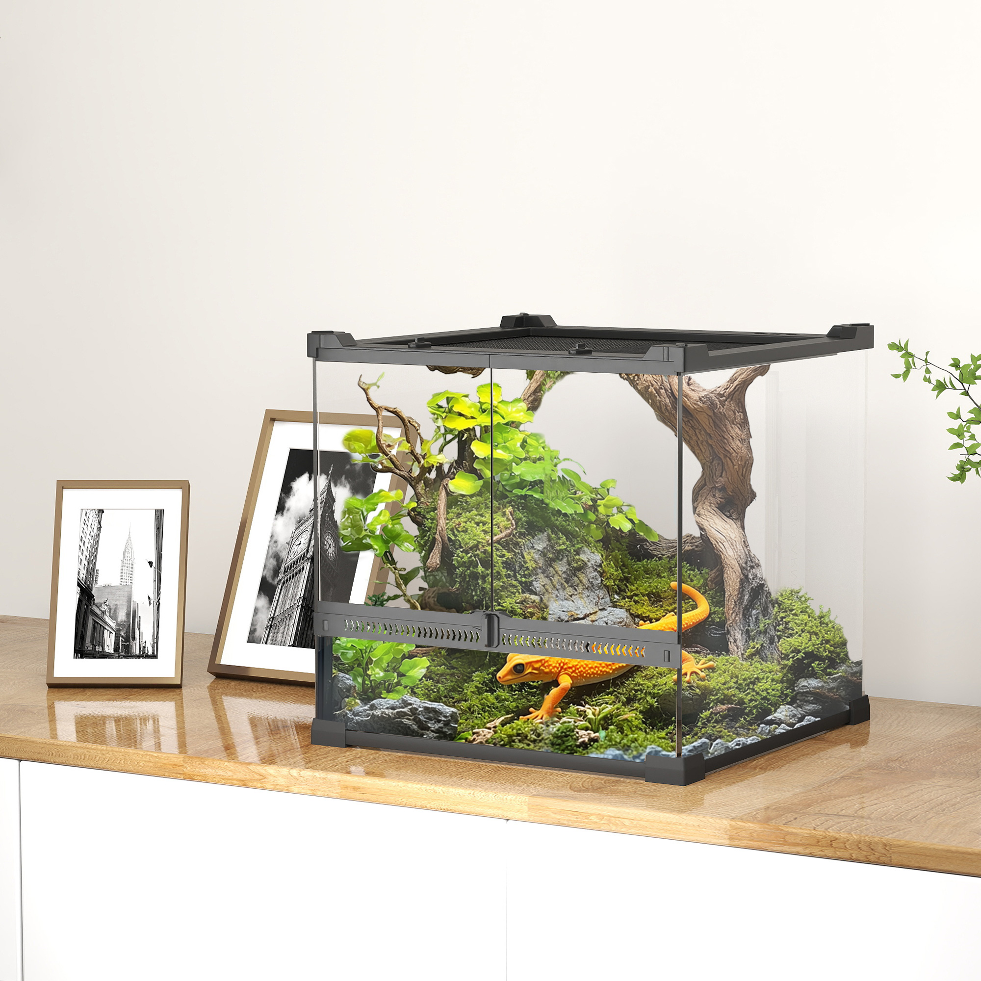 Glas-Terrarium für Reptilien, erhöhter & wasserdichter Boden, Knopfschloss