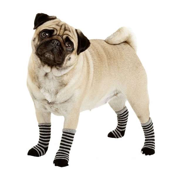 Karlie Doggy Socks Hundesocken 4er Set - Schwarz/Grau - L Karlie Doggy Socks Hundesocken 4er Set - Schwarz/Grau - XS
