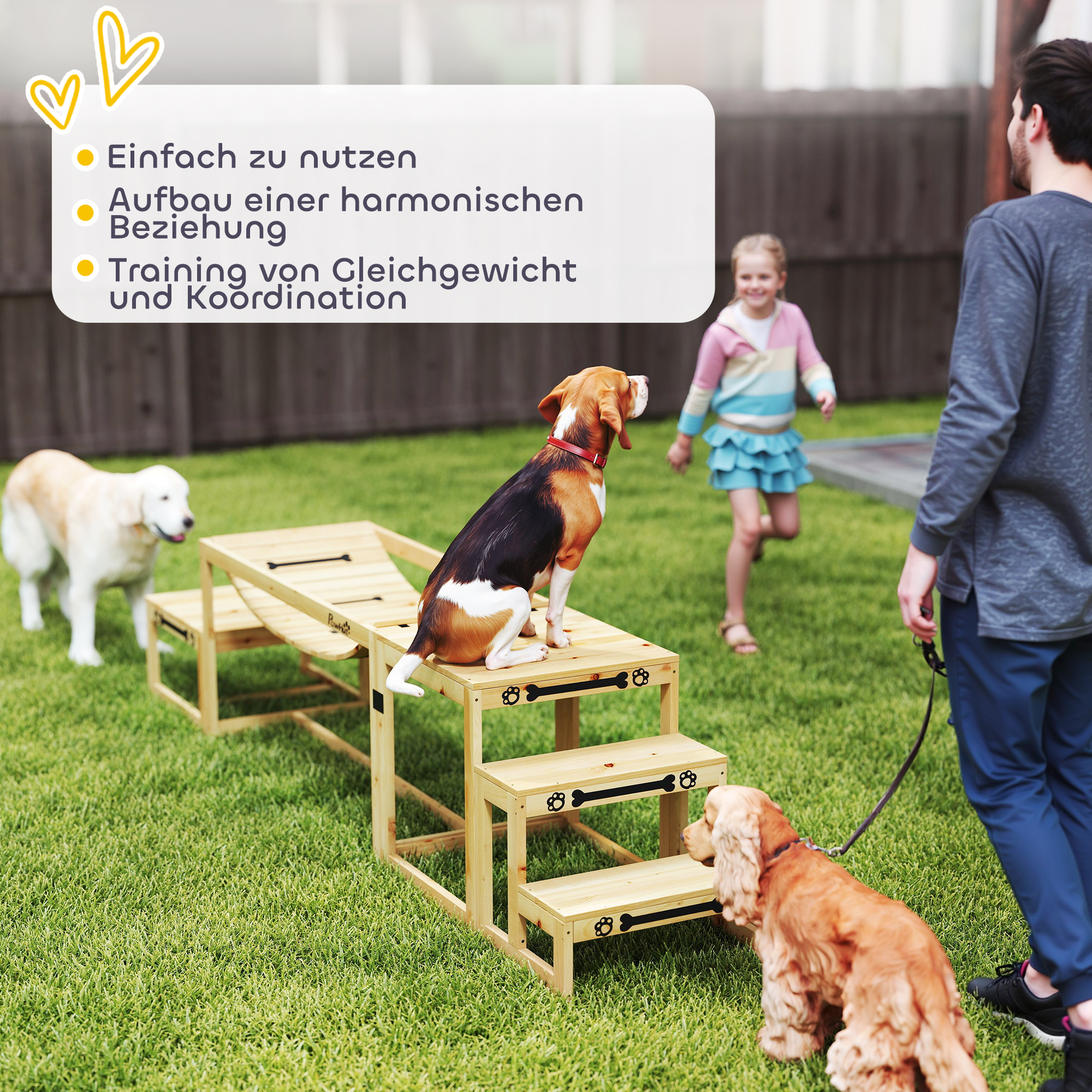 Agility-Set für Hunde, Hundetrainings-Konstruktion mit Brücke, Treppe, Plattform, Tannenholz, für große Hunde bis 40 kg