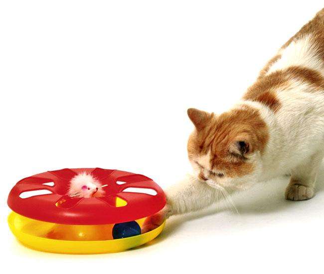 Karlie Kitty ROUND ABOUT Spielzeug - 24 cm Karlie Kitty ROUND ABOUT Spielzeug - 24 cm