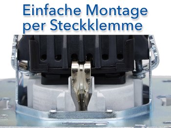 DELPHI Schutzkontakt-Steckdose, silber, 250V~/ 16A, Steckanschluss, ohne Rahmen