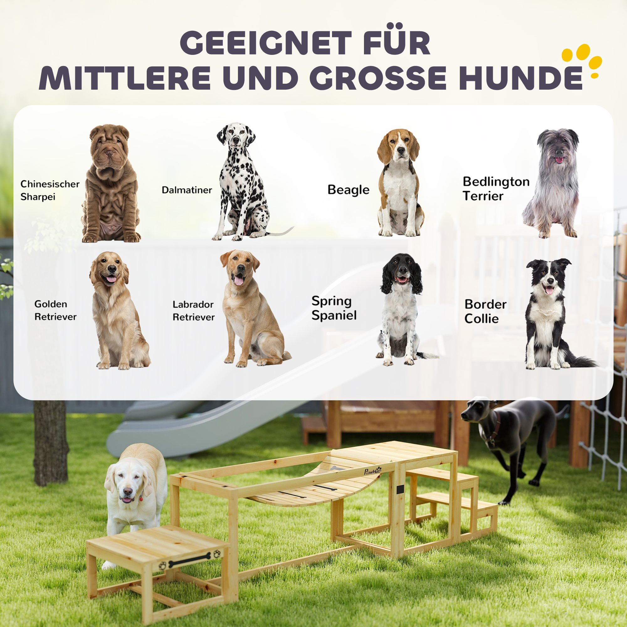 Agility-Set für Hunde, Hundetrainings-Konstruktion mit Brücke, Treppe, Plattform, Tannenholz, für große Hunde bis 40 kg