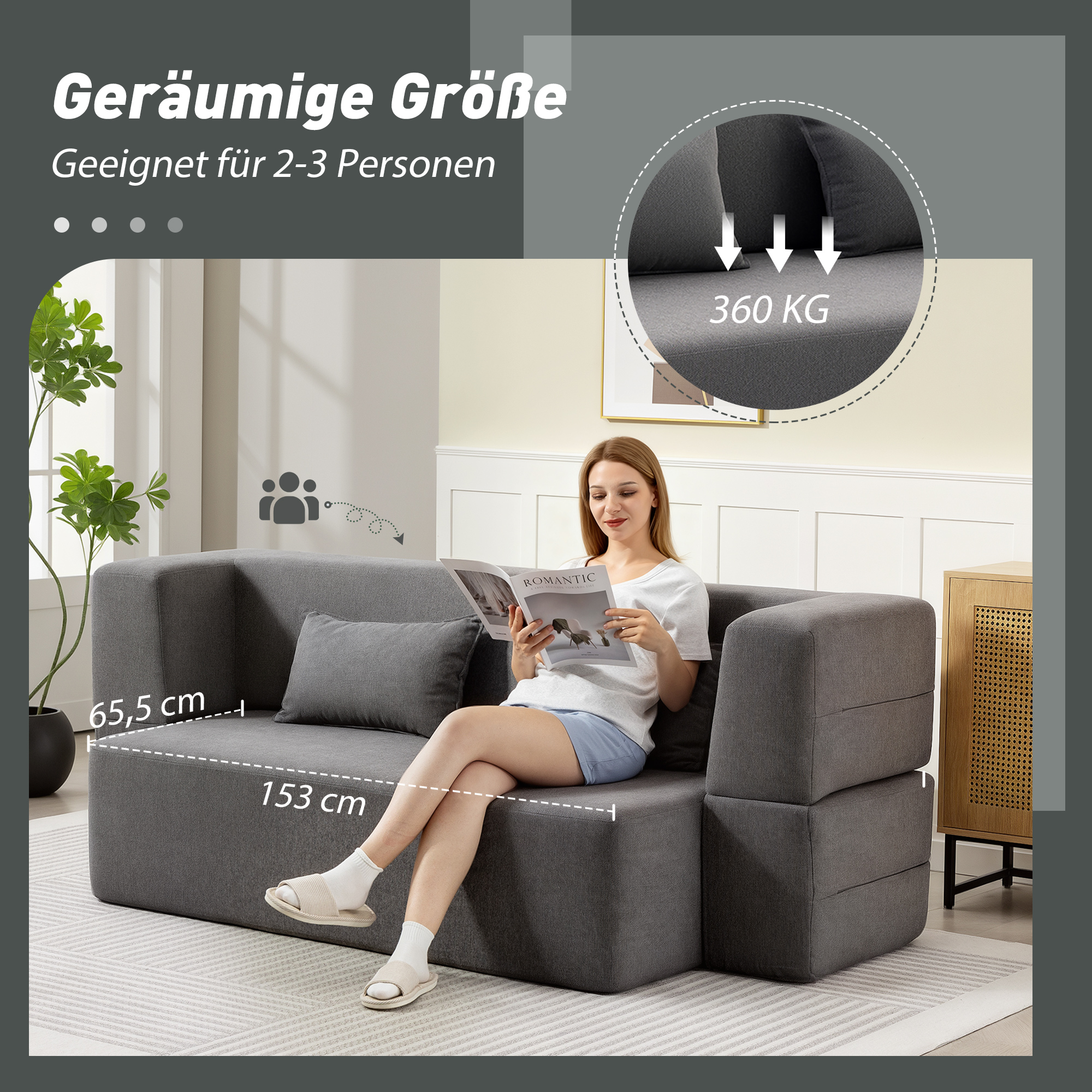 2-Sitzer-Schlafsofa aus Schaumstoff, Schlafcouch mit breiten Armlehnen, 2 Kissen, 360 kg Belastbarkeit, Grau