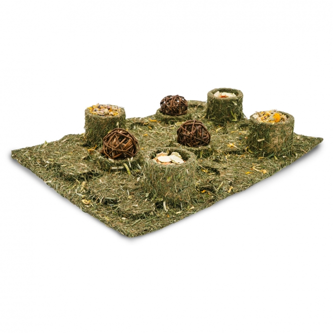 JR FARM Back to Instinct XXL Fun-Park JR FARM Back to Instinct XXL Fun-Park