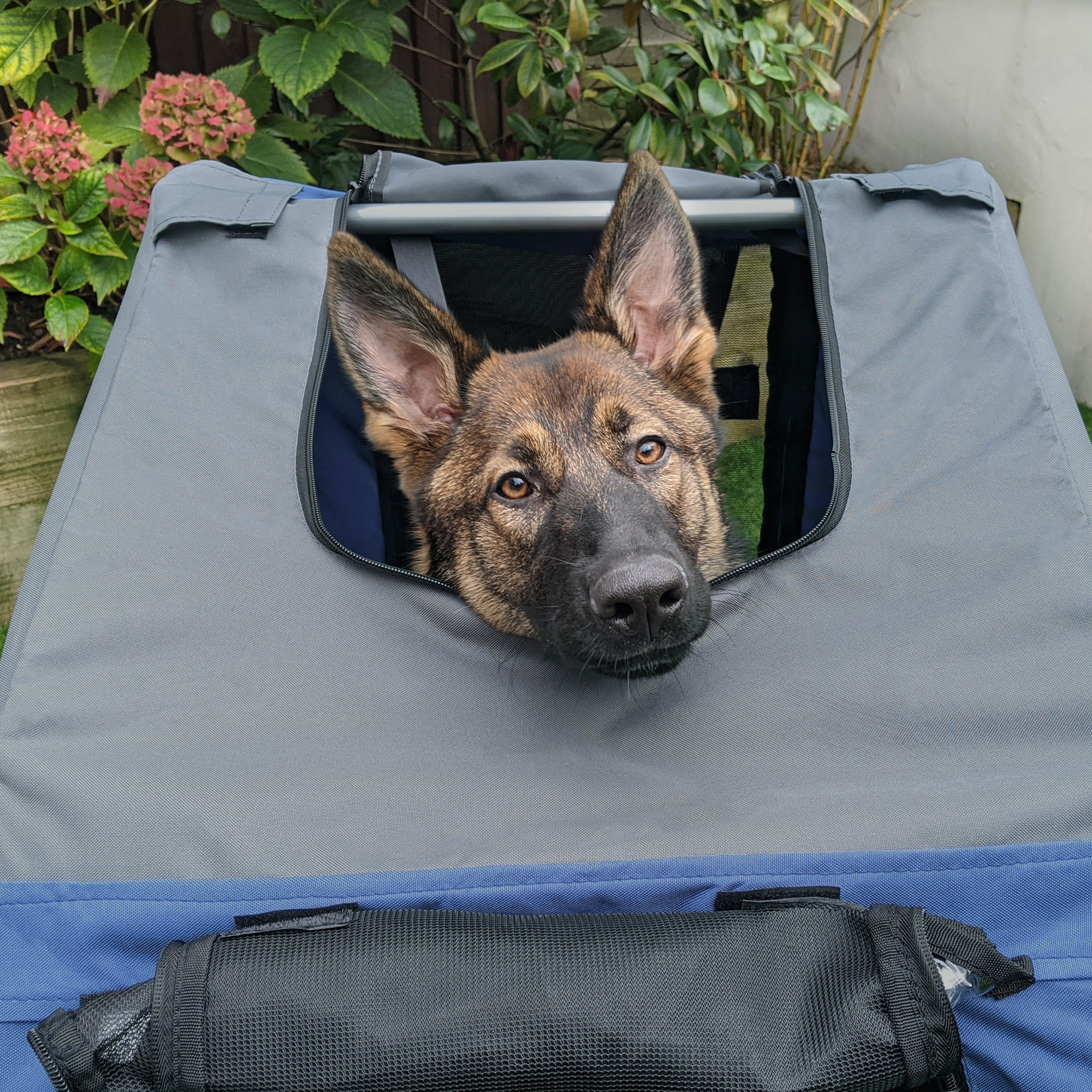 2-in-1 Haustieranhänger Fahrradanhänger bis 20kg klappbar Regenschutz Sicherheitsfahne Reflektoren Stahl grau+blau 130 x 73 x 90cm