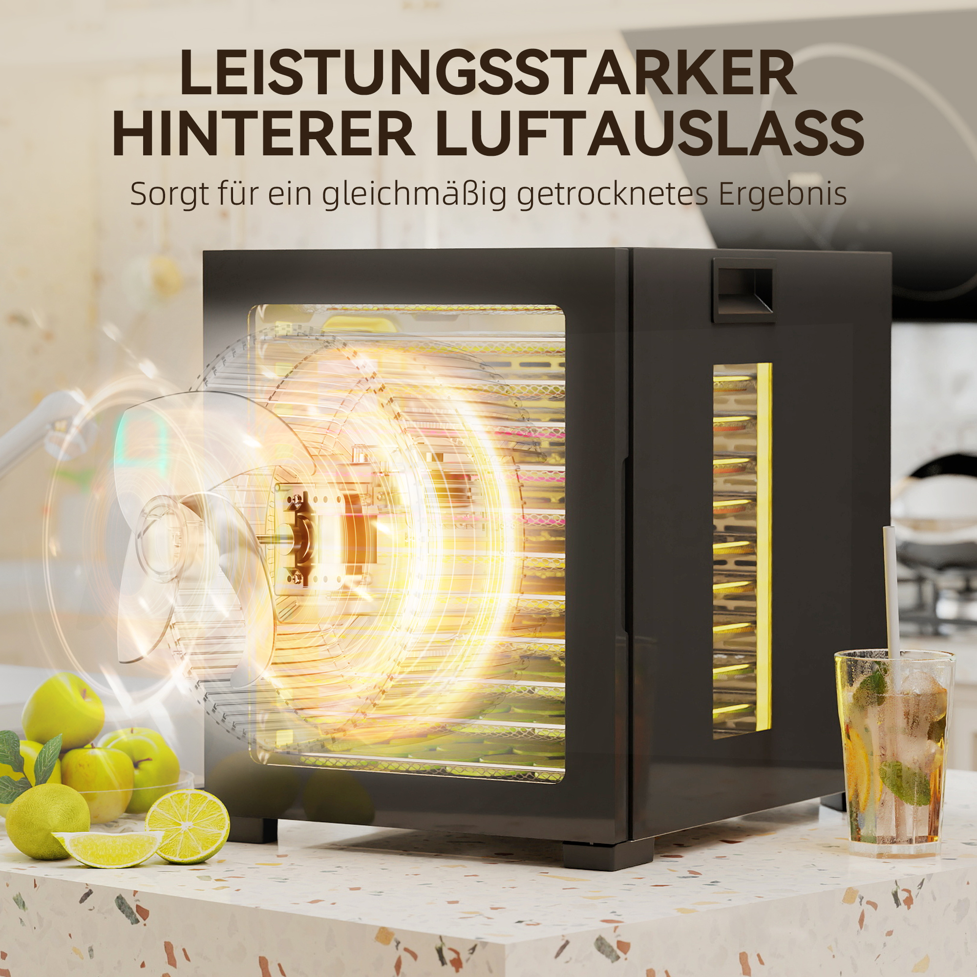 Dörrautomat Dörrgerät, 850 W, 40-70°C Temperaturregler, 48 Std, Timer, 12 Einlegefächer Edelstahl Schwarz