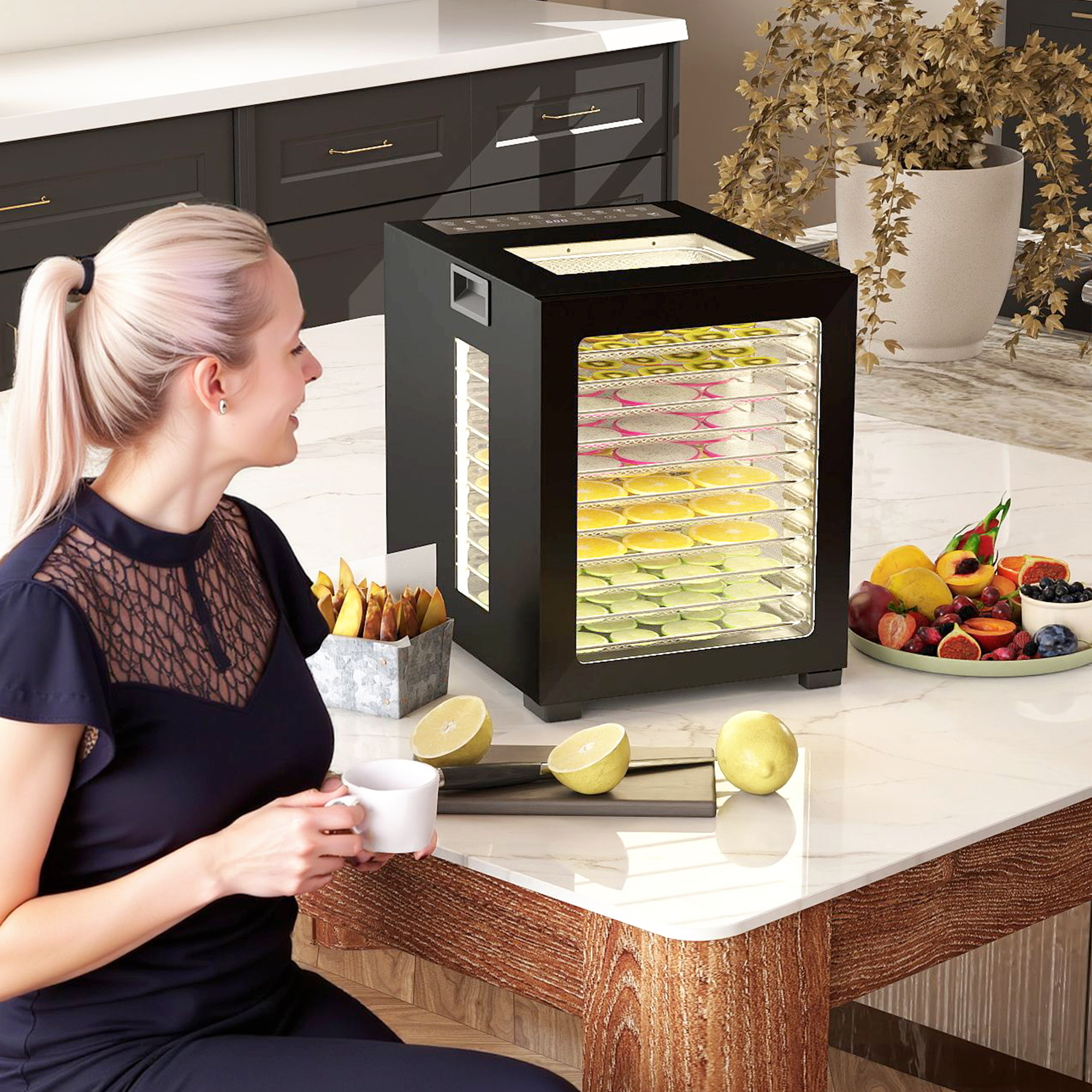Dörrautomat Dörrgerät, 850 W, 40-70°C Temperaturregler, 48 Std, Timer, 12 Einlegefächer Edelstahl Schwarz